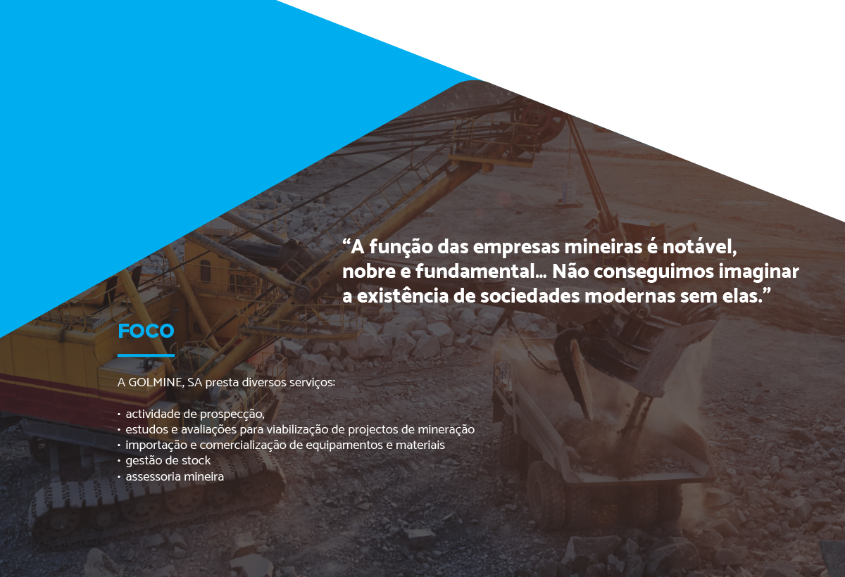 ///raulpinadesign . Goldmine brochura