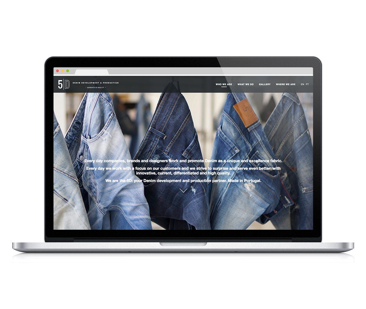 website 5D . raulpinadesign