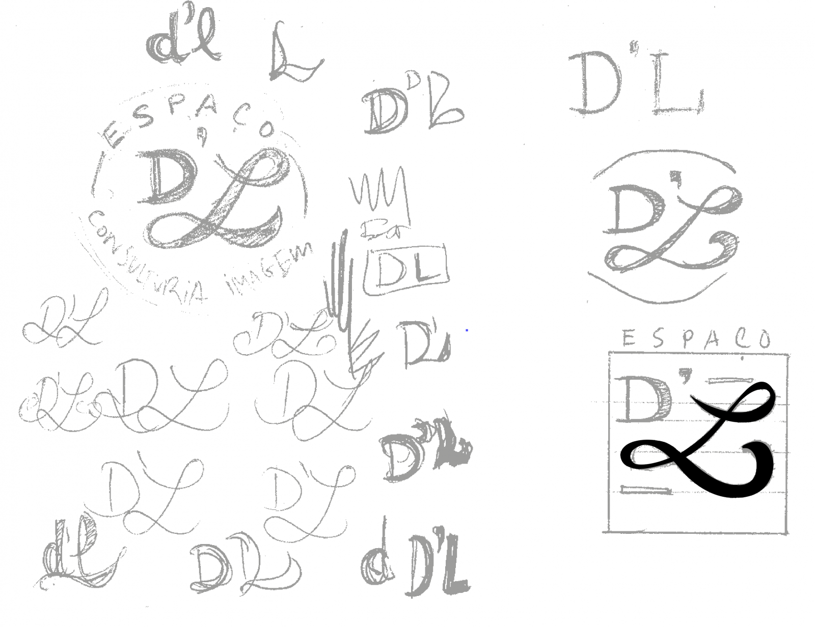 Dl estudos de logotipo Espaço DL . raulpinadesign