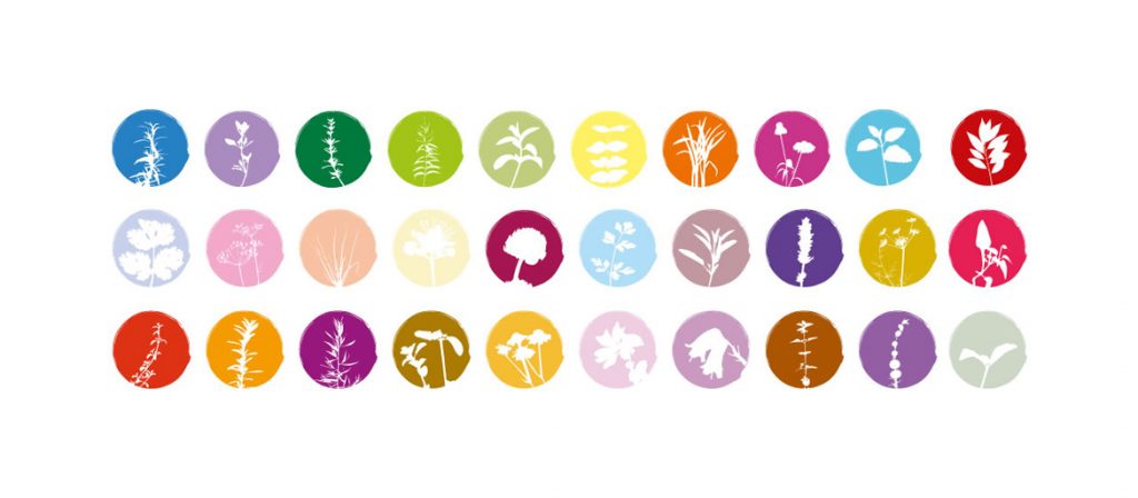 Iconografia Símbolos Agricultura biológica cantinhodasaromaticas