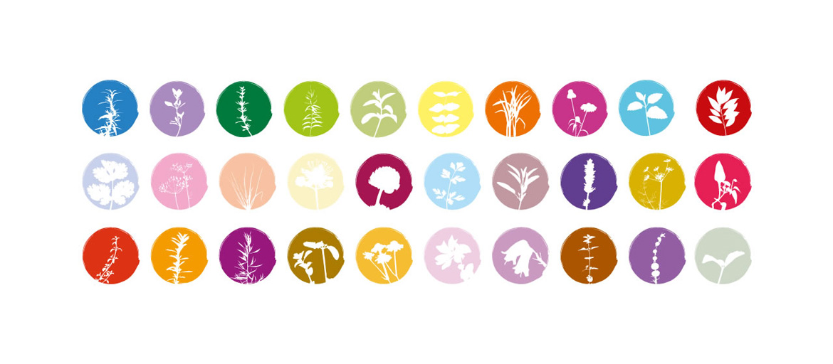 ///raulpinadesign . Cantinho das Aromáticas Iconografia Símbolos Agricultura biológica cantinhodasaromaticas
